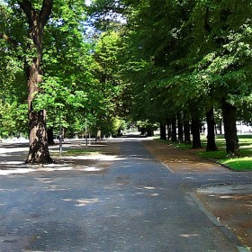 Urban park and city ambient...