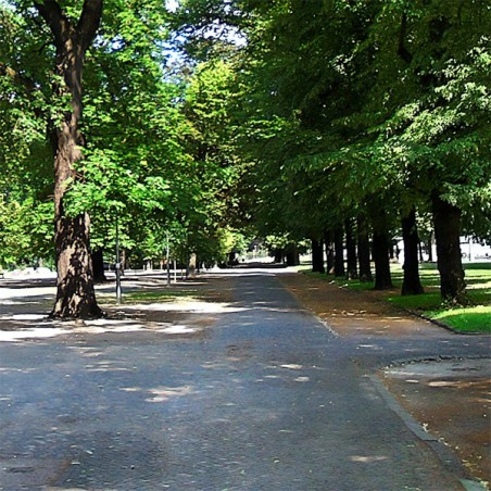 Park en stad Ambient Sound Effect, stereo en surround Wav-samples Park en stad Ambient Sound Effect, stereo en surround Wav-samples