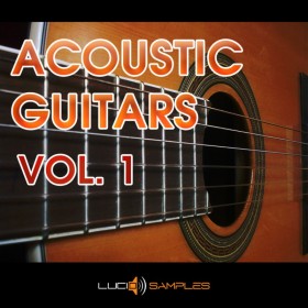 Acoustic Guitars Vol. 1