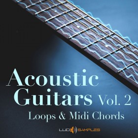 Chitarre Acustiche Vol. 2 - 228 Guitar Licks e Arps campioni Wav a 24 bit