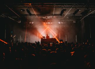 dj gig crowd
