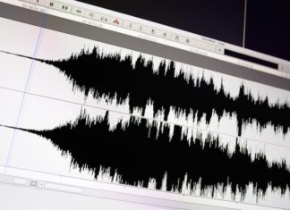 Discover an Extensive Collection of Free Vocal Samples for Download