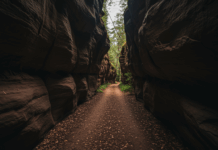 Exploring the Use of Natural Reverb in Sample Production: Key Tips