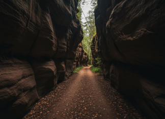 Exploring the Use of Natural Reverb in Sample Production: Key Tips