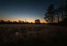 Creative Ways to Layer Ambient Field Recordings for Unique Soundscapes