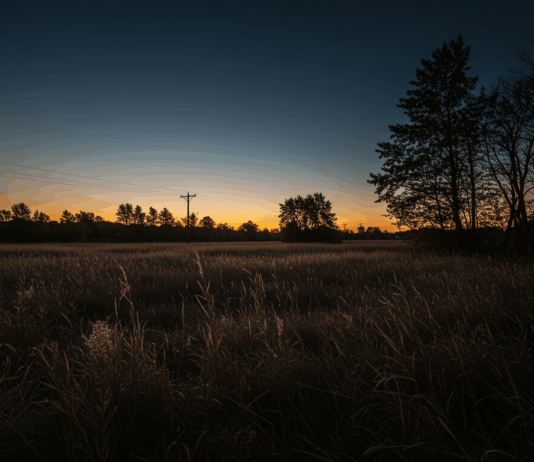 Creative Ways to Layer Ambient Field Recordings for Unique Soundscapes